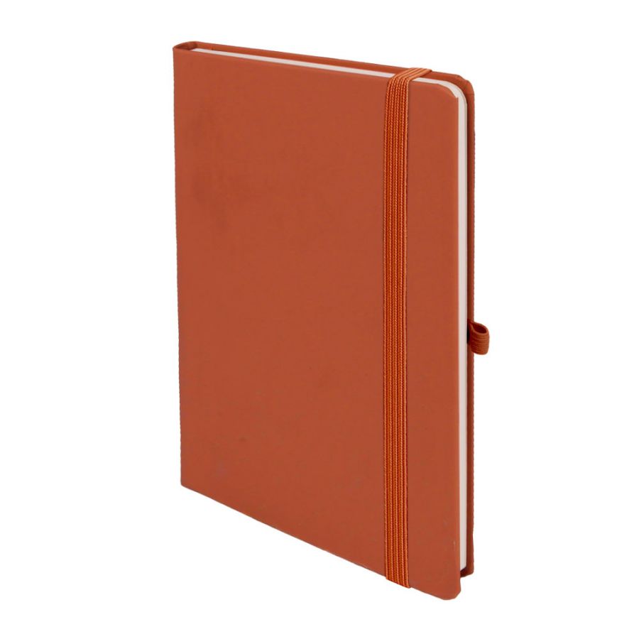 301025 BAĞLICA TABA TARİHSİZ DEFTER (13X21 CM)